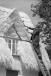 Click to view Thatching at Evans Corner Cottages